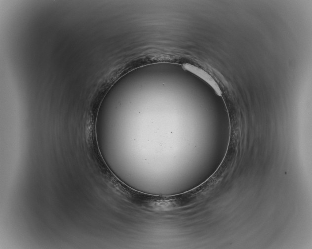 X0000116390513200912091437