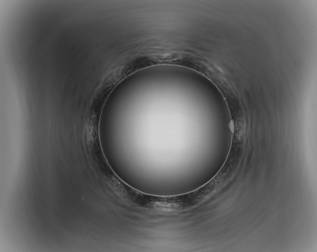 X0000116390515200912091437