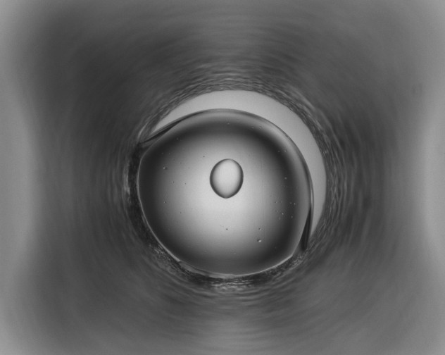 X0000116390516200912091437
