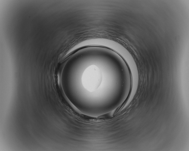 X0000116390520200912091437