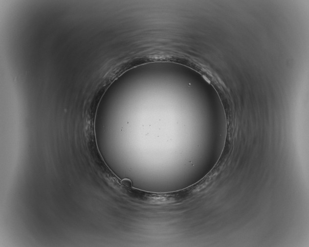 X0000116390521200912091437
