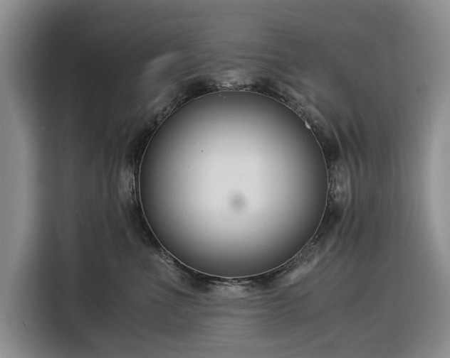 X0000116390523200912091437