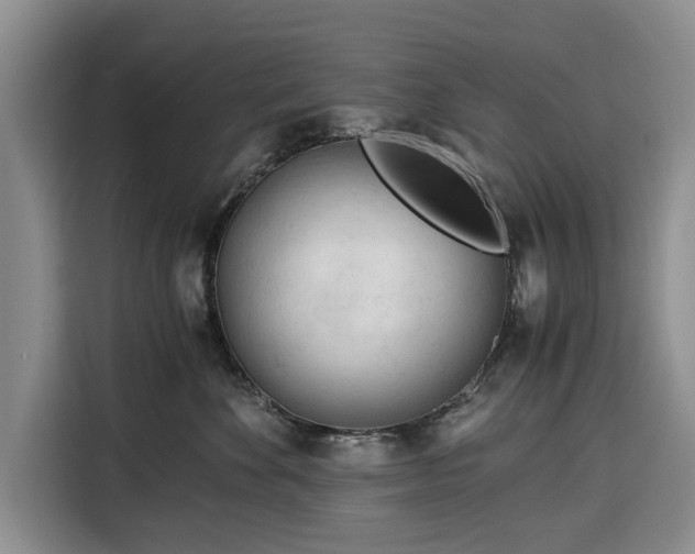 X0000116390524200912091437