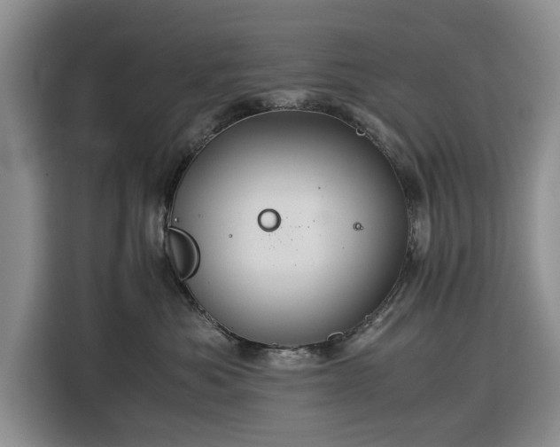 X0000116390525200912091437