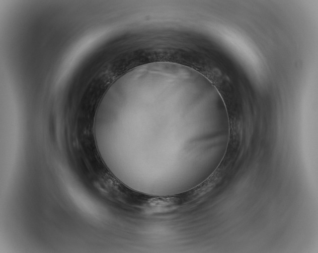 X0000116390526200912091437