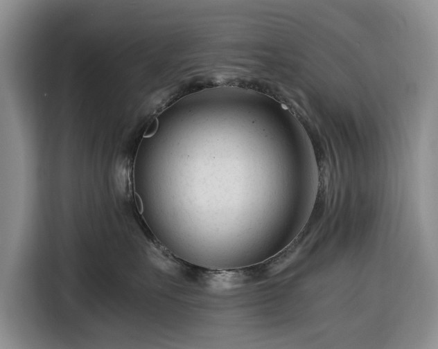 X0000116390527200912091437