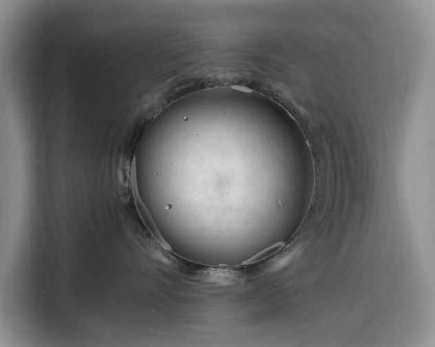 X0000116390528200912091437
