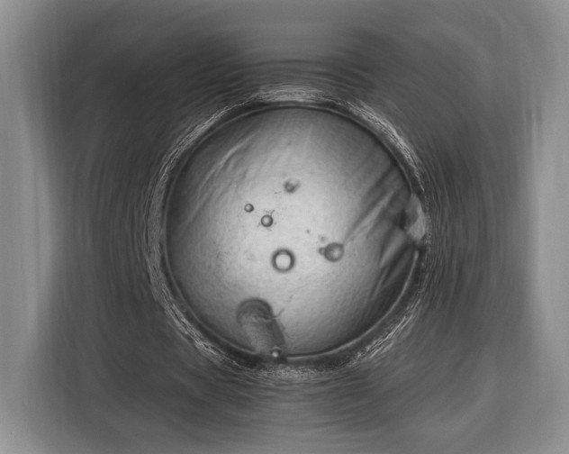 X0000116390529200912091436
