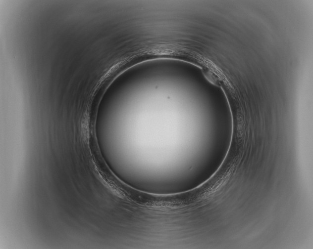 X0000116390530200912091436