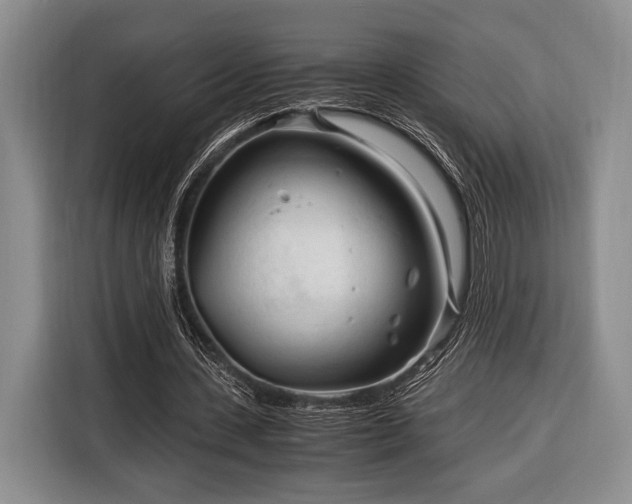 X0000116390531200912091436