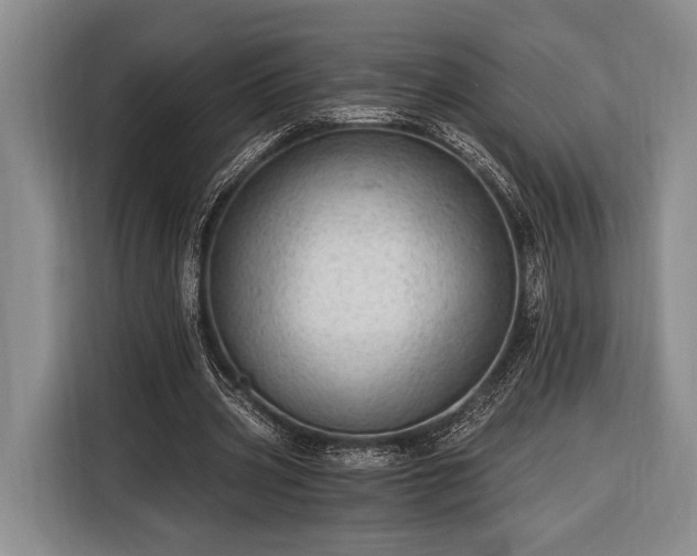 X0000116390533200912091436
