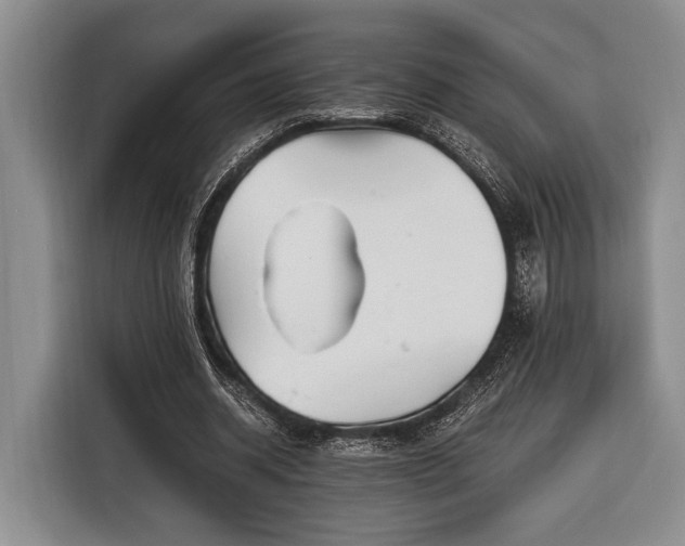 X0000116390534200912091436