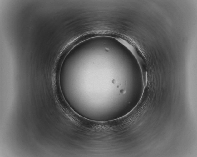 X0000116390535200912091436