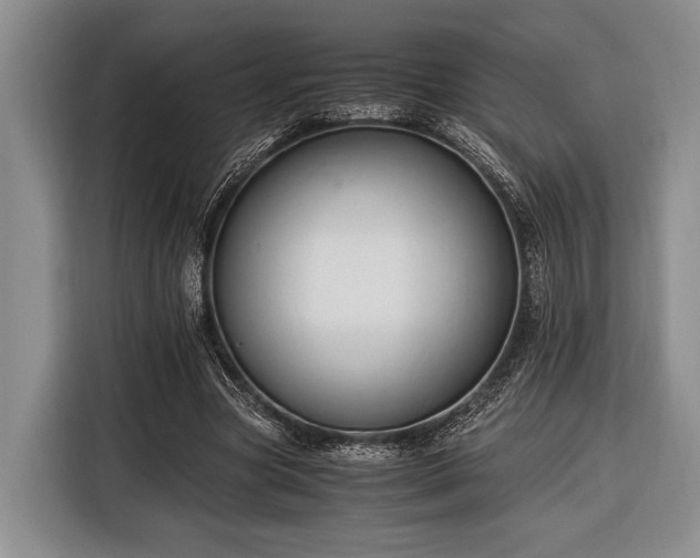 X0000116390537200912091436