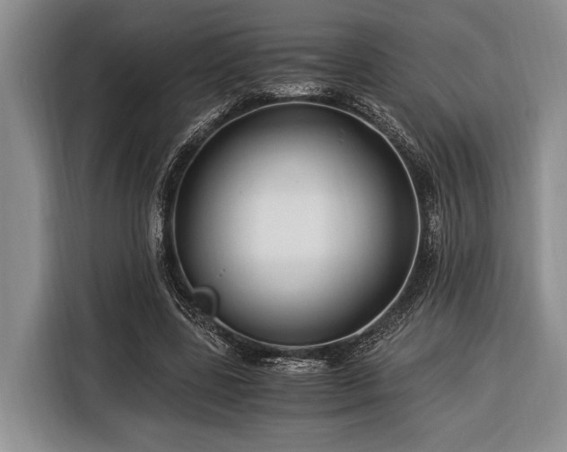 X0000116390539200912091436