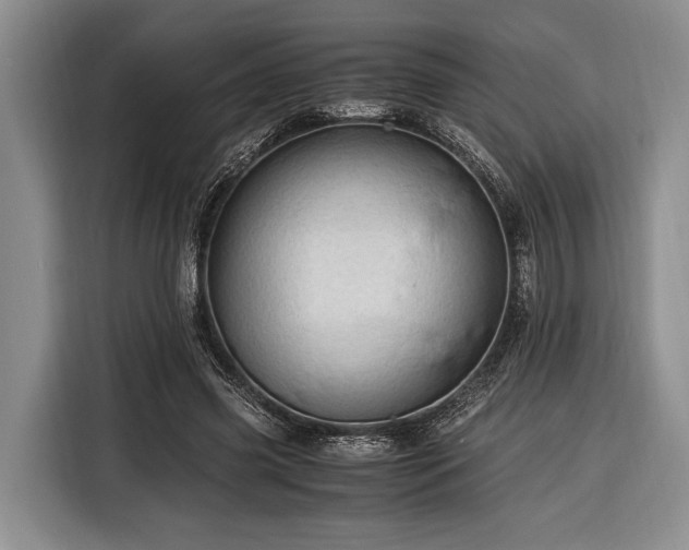 X0000116390541200912091436