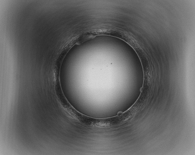 X0000116390546200912091436