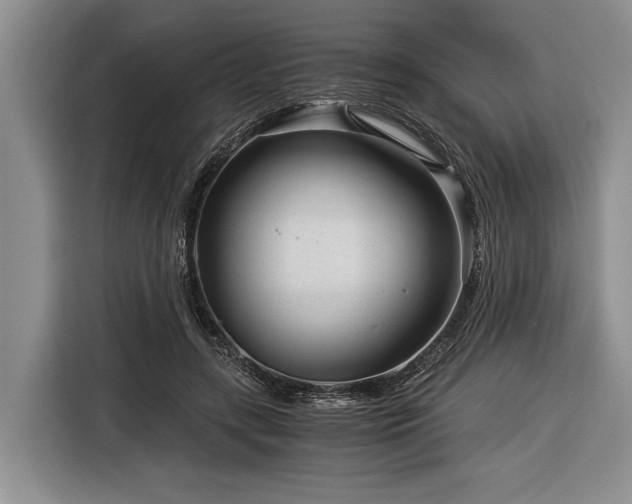 X0000116390547200912091436