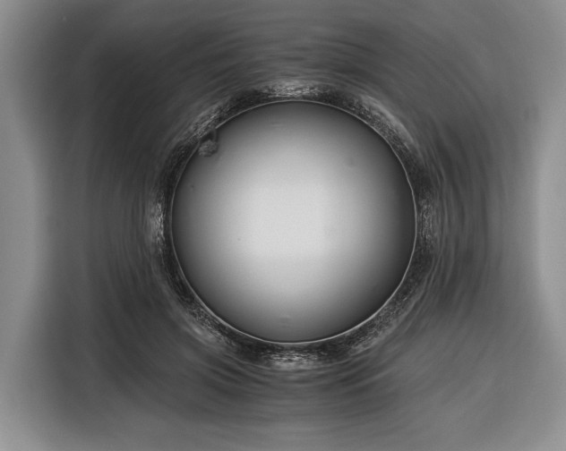 X0000116390549200912091437
