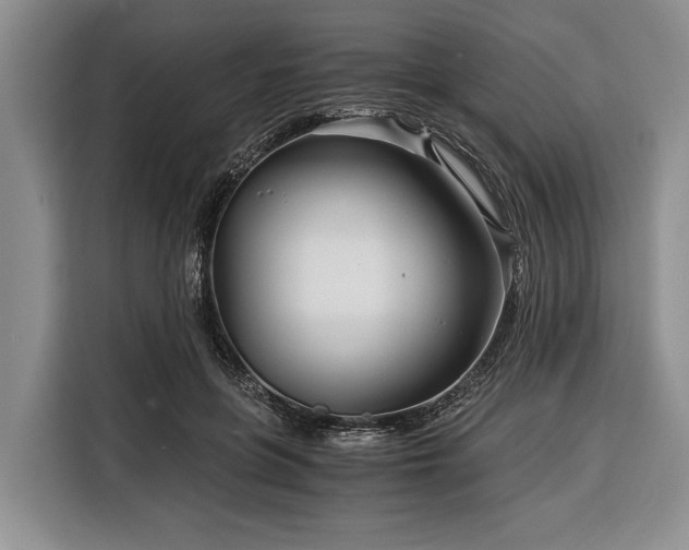 X0000116390551200912091437