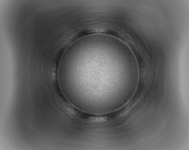 X0000116390553200912091437