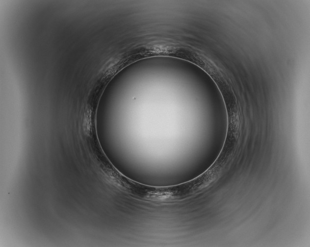 X0000116390554200912091437
