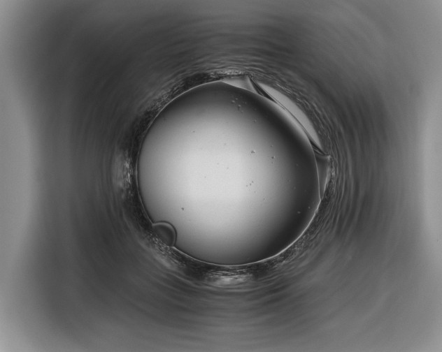 X0000116390555200912091437