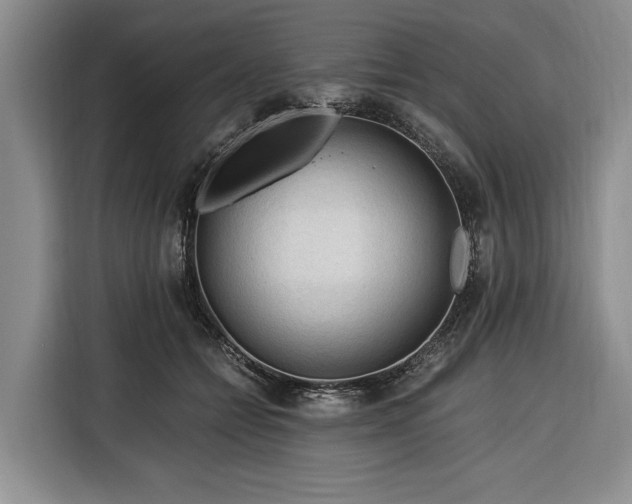 X0000116390558200912091437