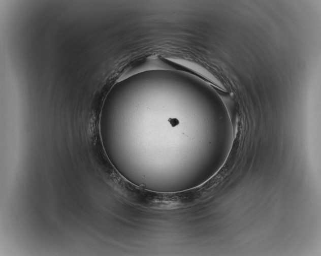X0000116390559200912091437