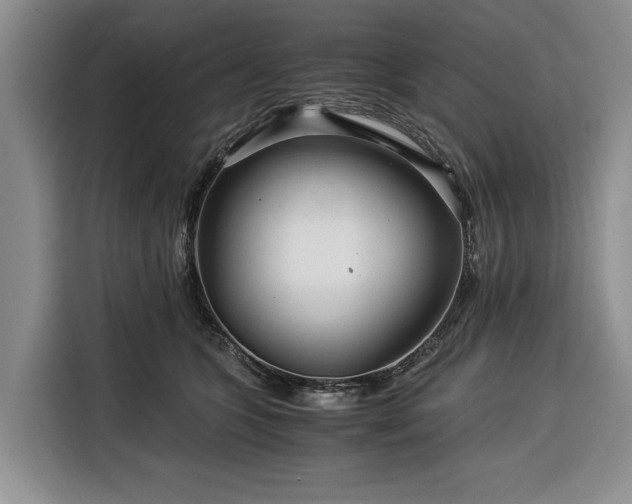 X0000116390563200912091437