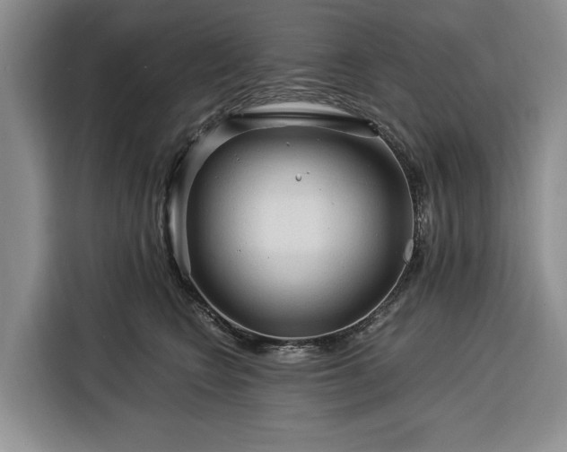 X0000116390566200912091437