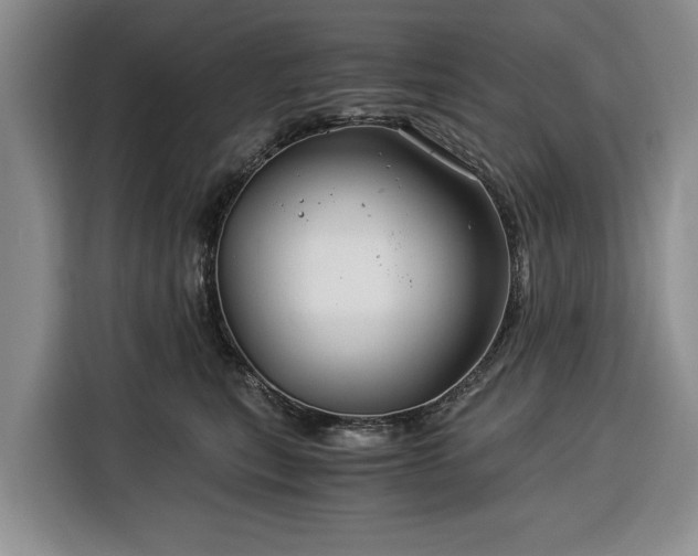X0000116390567200912091437