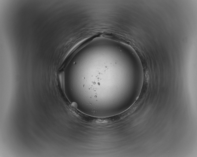 X0000116390570200912091437