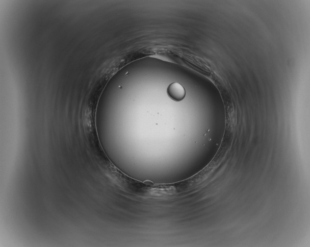 X0000116390571200912091437