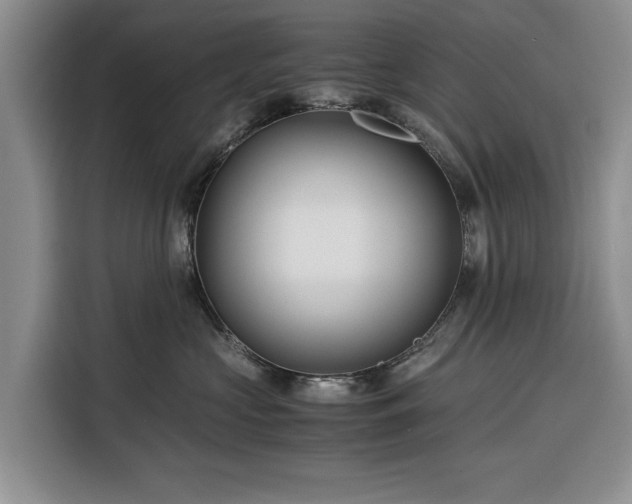 X0000116390573200912091437