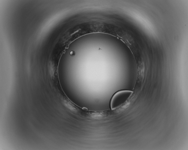 X0000116390574200912091437