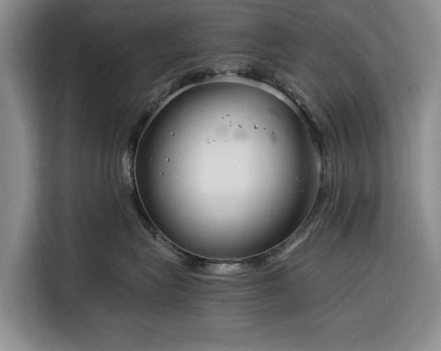 X0000116390575200912091437