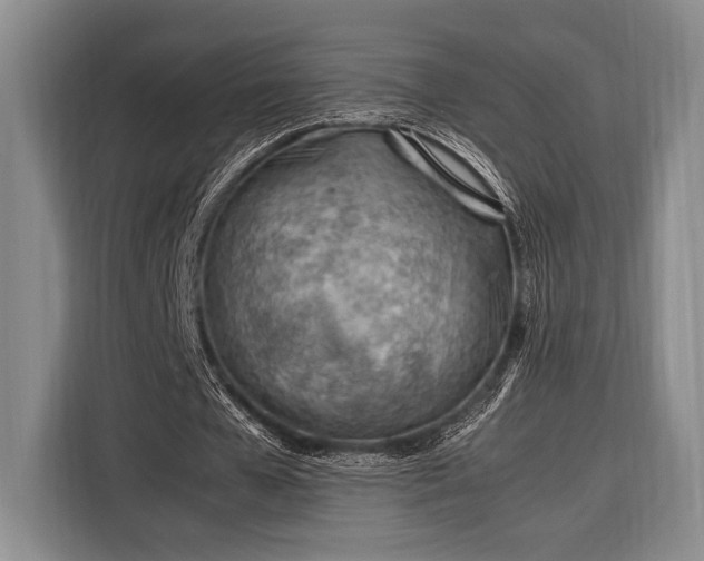 X0000116390577200912091436