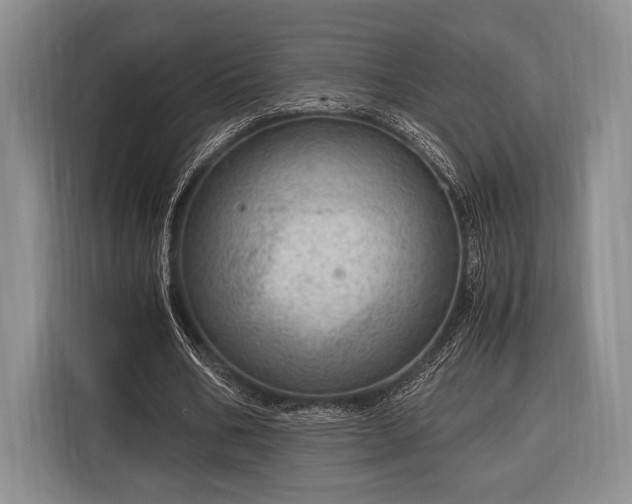 X0000116390578200912091436