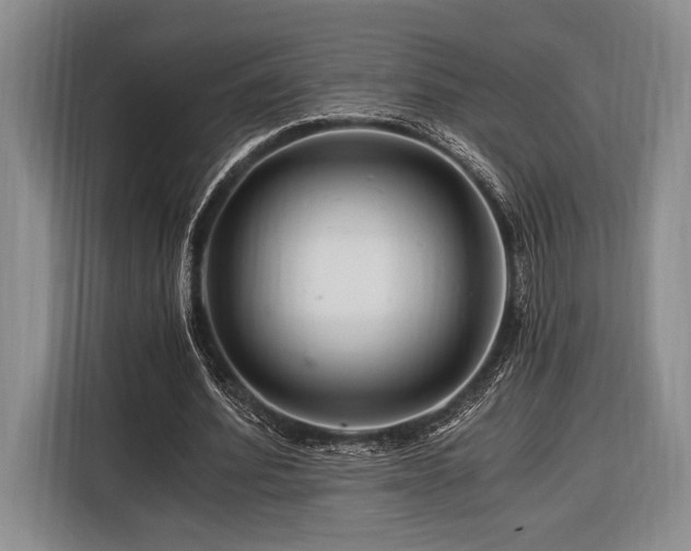 X0000116390580200912091436