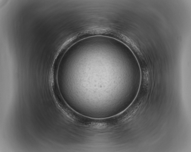 X0000116390582200912091436