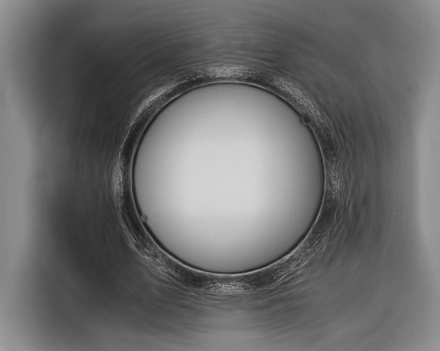 X0000116390583200912091436