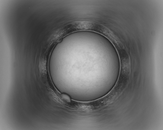 X0000116390585200912091436