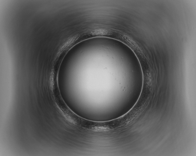 X0000116390586200912091436