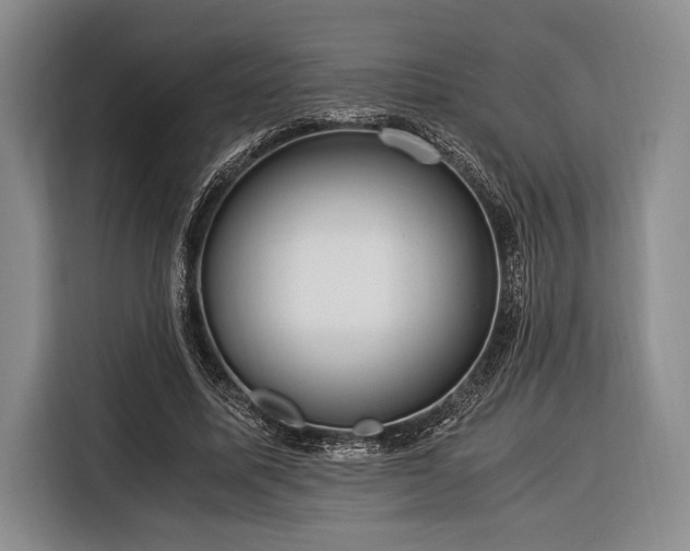 X0000116390587200912091436