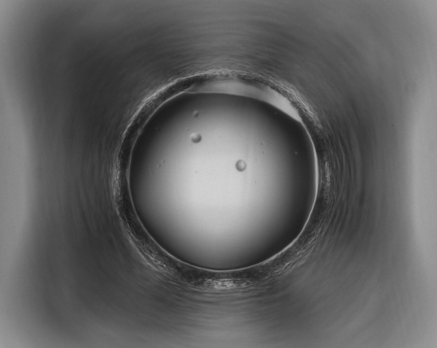 X0000116390588200912091436