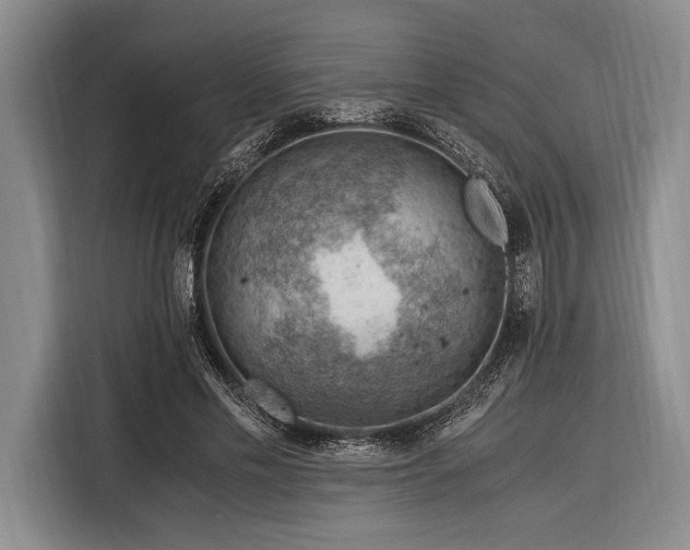 X0000116390589200912091436