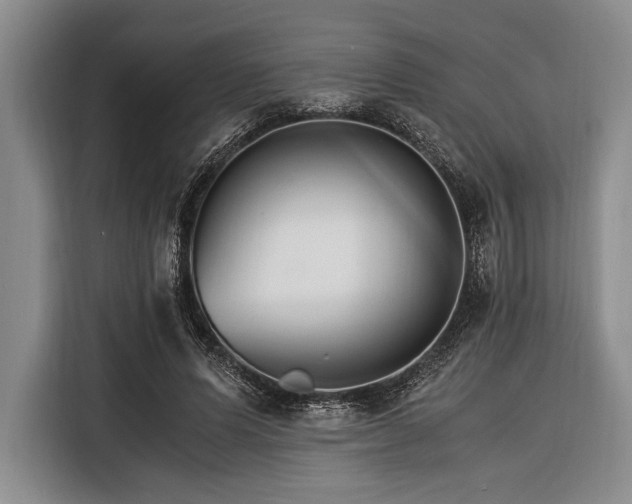 X0000116390591200912091436