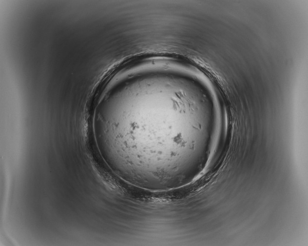 X0000116390592200912091436