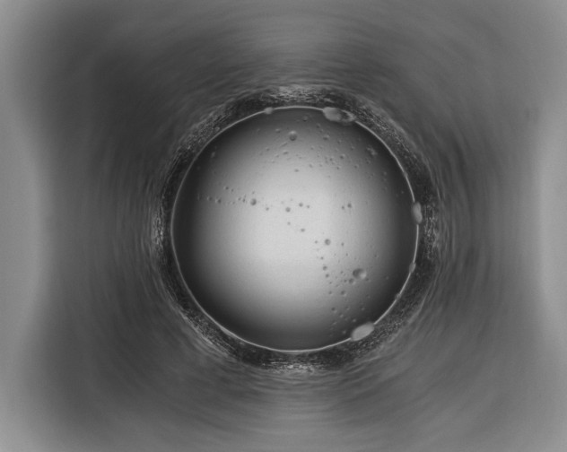 X0000116390593200912091436